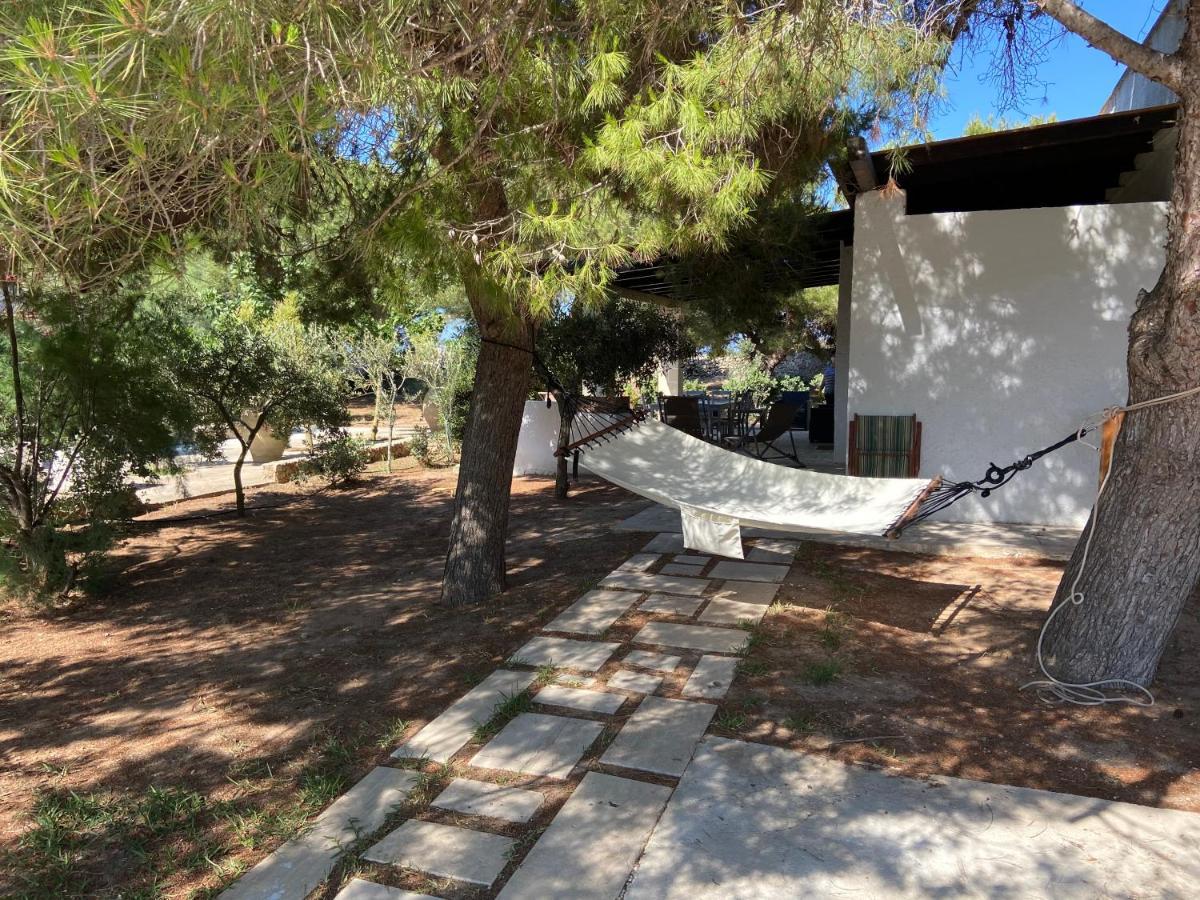 Appartamenti In Villa Senia ฟาวีญานา ภายนอก รูปภาพ