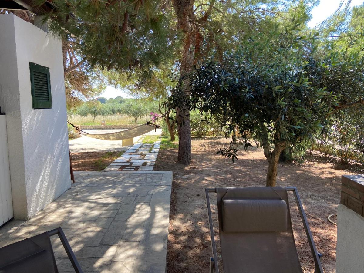 Appartamenti In Villa Senia ฟาวีญานา ภายนอก รูปภาพ