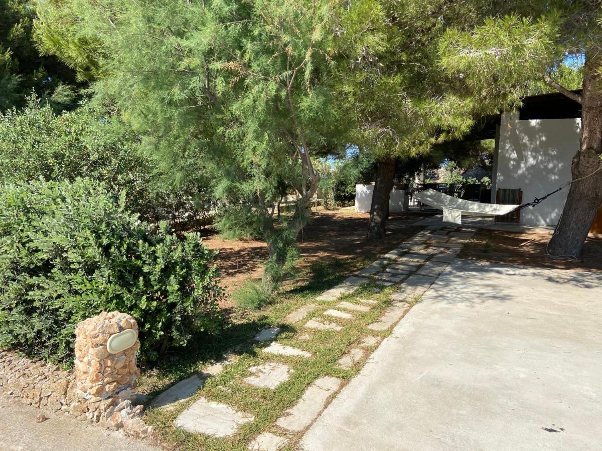 Appartamenti In Villa Senia ฟาวีญานา ภายนอก รูปภาพ